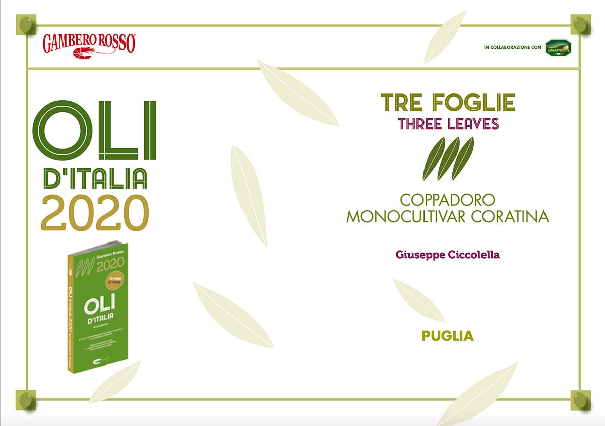 Ciccolella-attestato