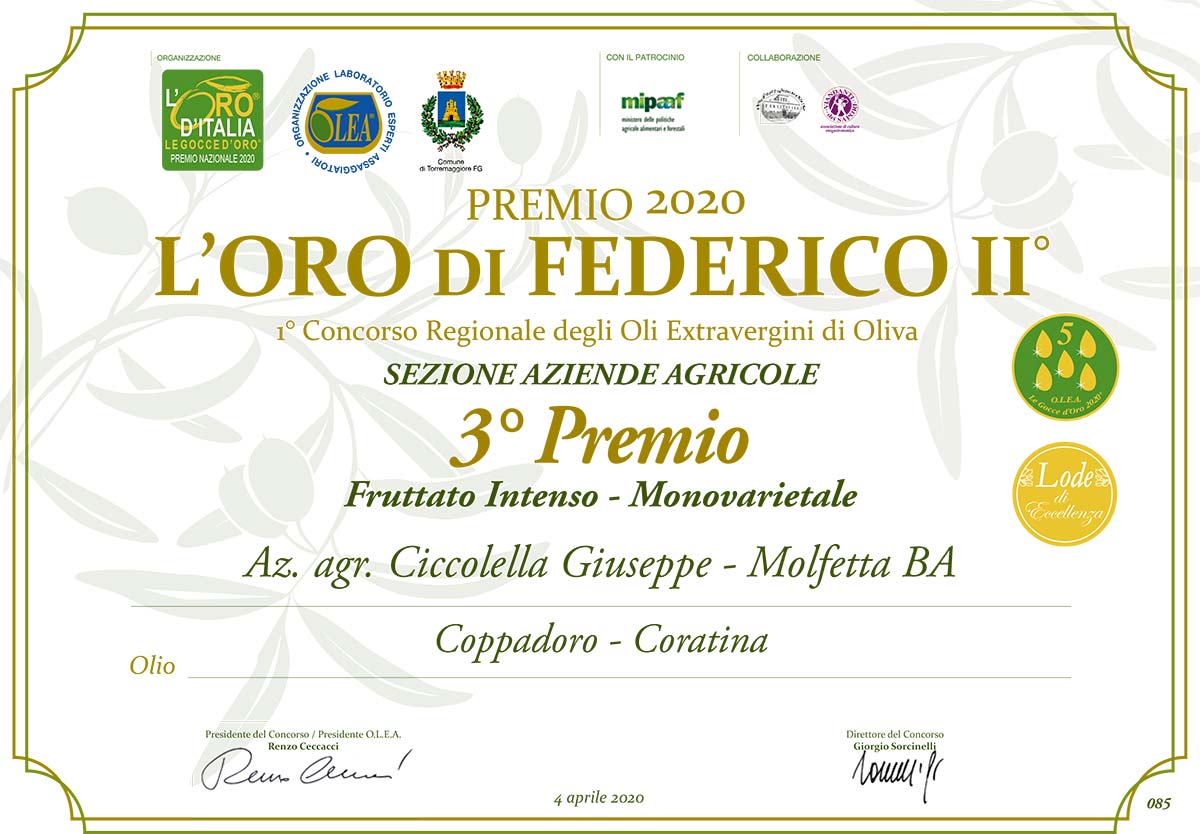 Concorso l'Oro di Federico II