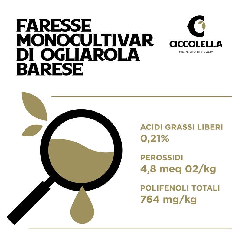 Analisi olio Faresse