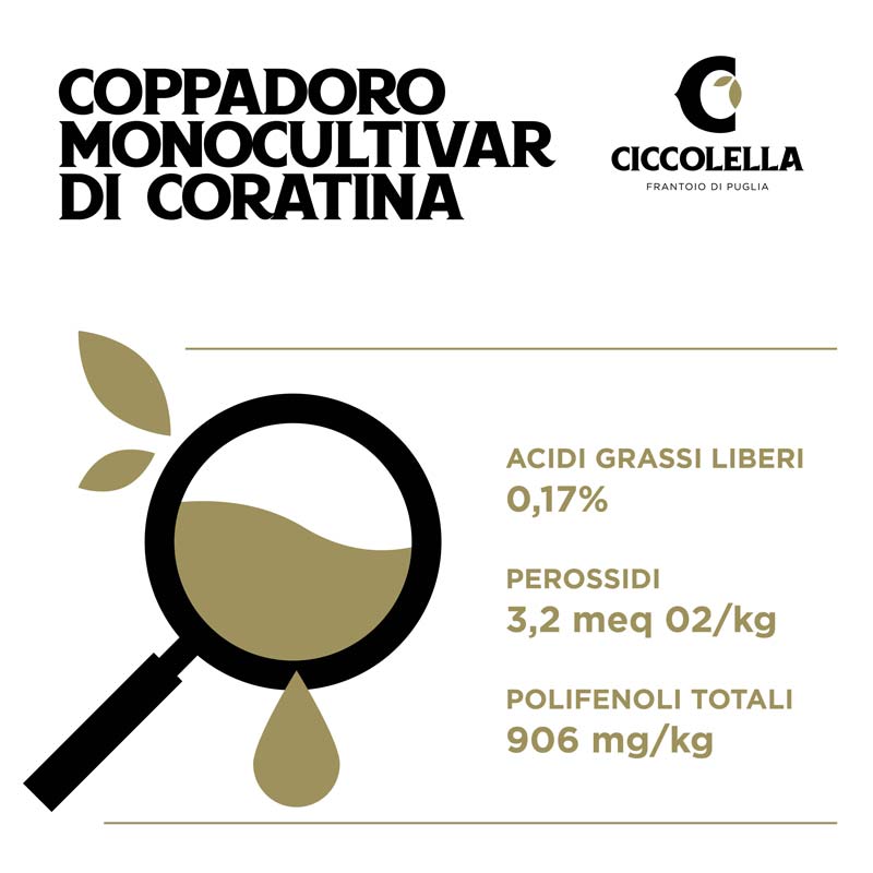 analisi olio Coppadoro