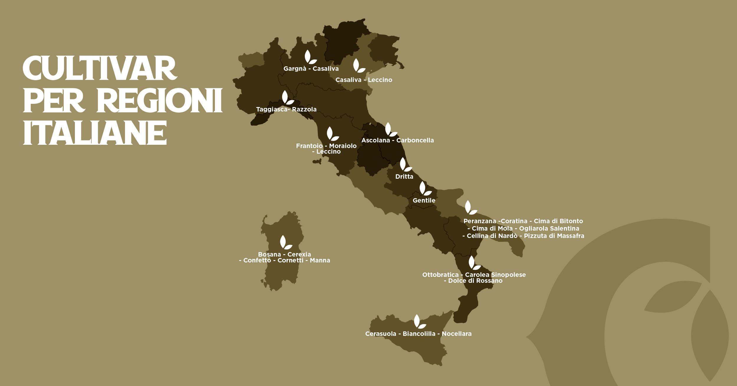 Produzione di olio in Italia - Olio Ciccolella produzione di olio in Italia - Olio Ciccolella