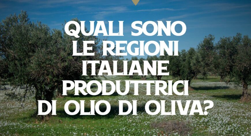 Produzione olio di oliva in Italia - Olio Ciccolella